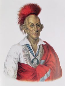 Ma-Ka-TAI-mim-Ela-Kia-Kiah ou falcão preto, um Sauk bravo, 1837, ilustração "dos tribos indianos de America do Norte, Vol.2", por Thomas L. McKenney e por James Salão, bar. John Grant